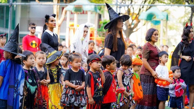 top-all-details-33616-0