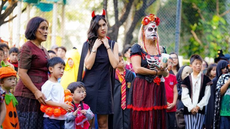 top-all-details-33621-1