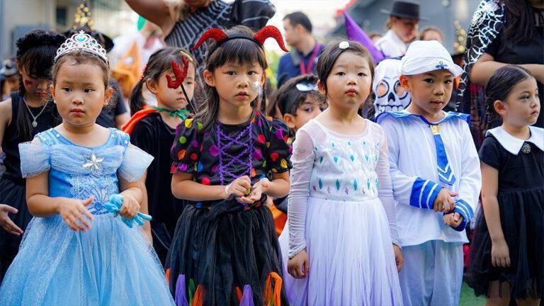 top-all-details-33626-2