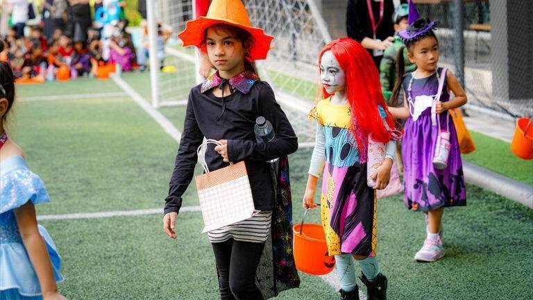 top-all-details-33631-3