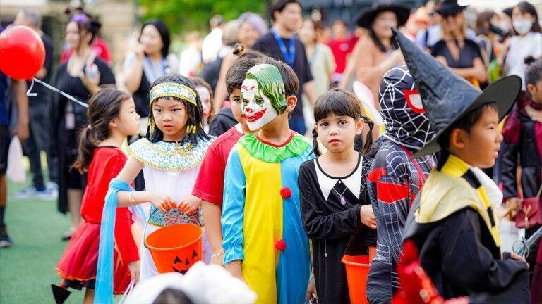 top-all-details-33601-6