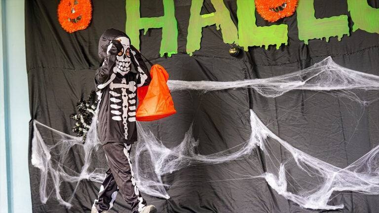 top-all-details-32973-5